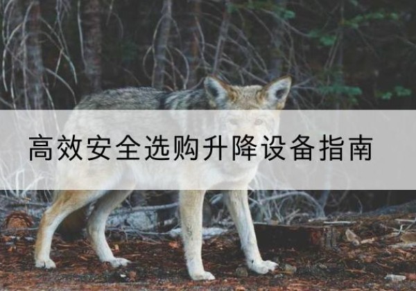 高邑升降货梯厂家推荐-*安全选购升降设备指南