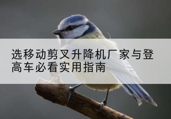 高邑电动升降机厂家-选移动剪叉升降机厂家与登高车必看实用指南