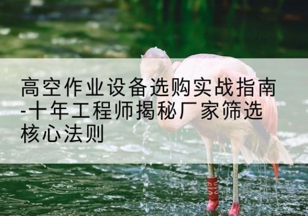 高邑剪叉式升降机厂家-高空作业设备选购实战指南-十年工程师揭秘厂家筛选核心法则